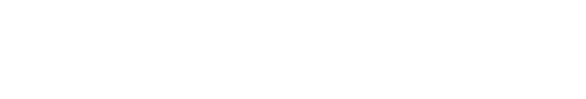 Palm Beach Island Advisors